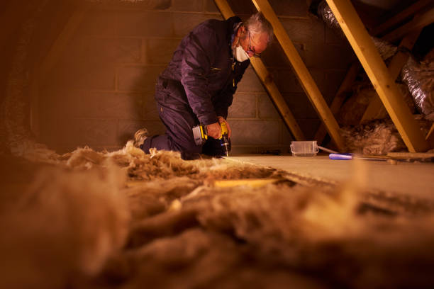 Best Professional Insulation Contractor  in USA